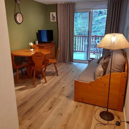 Appartement Avec Vue Sur La Montagne A Saint Lary Soulan 28 M² Piscine Eksteriør billede